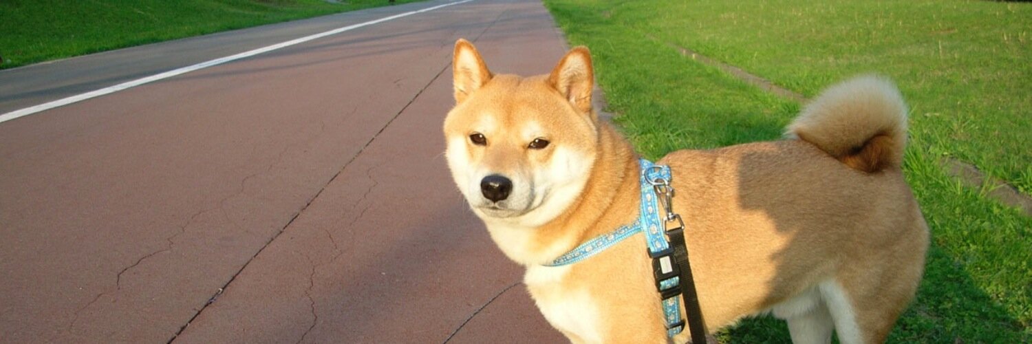 akashiba's profile banner image