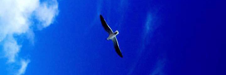 TinaM_angelo's profile banner image