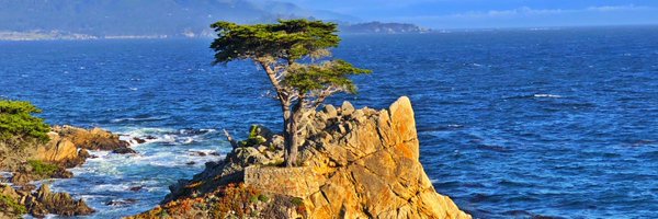 tjauclair Profile Banner