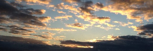 Darci37 Profile Banner