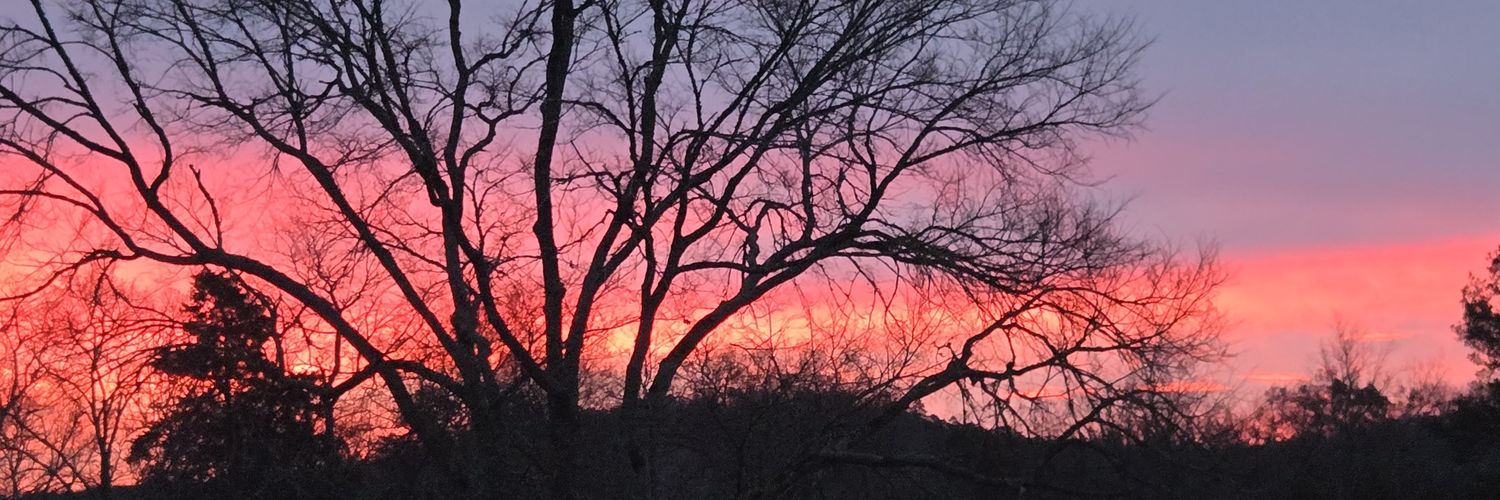 Nancy F, Former GOP banner