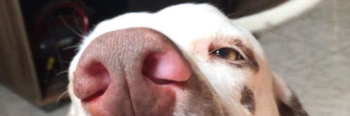 AminneDuarte's profile banner image