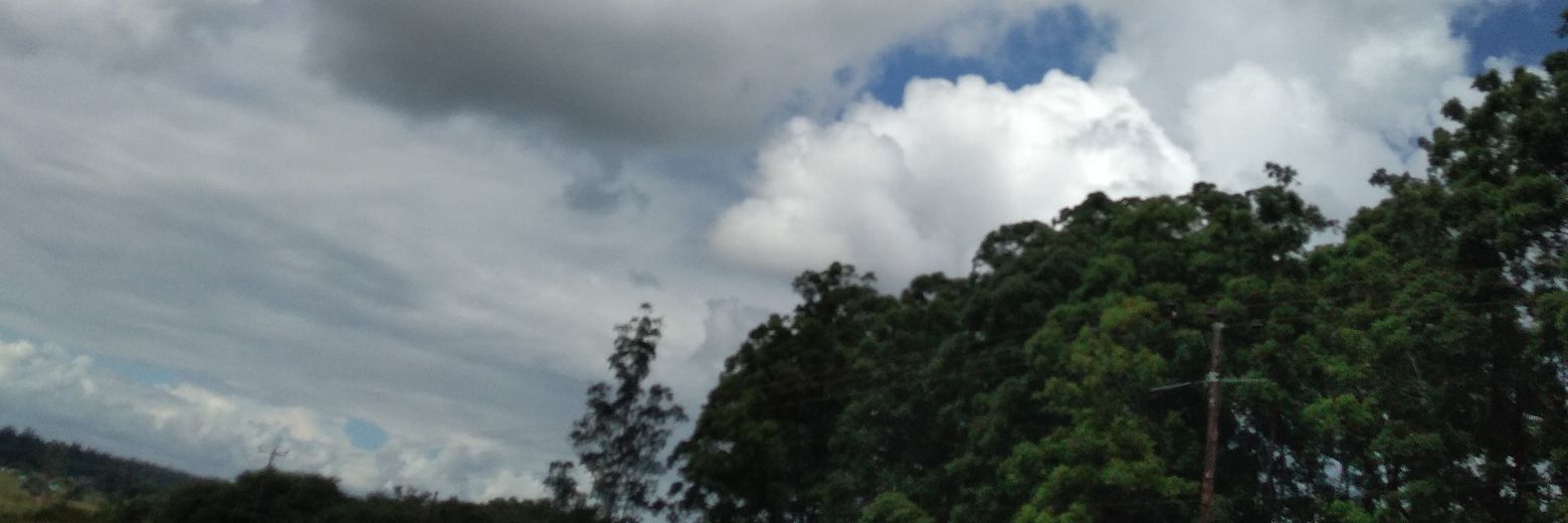 nawachaps's profile banner image