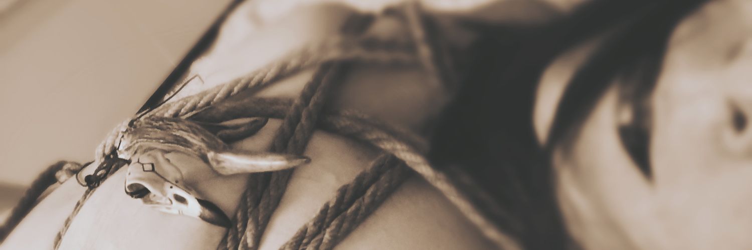 sparkadia75's profile banner image