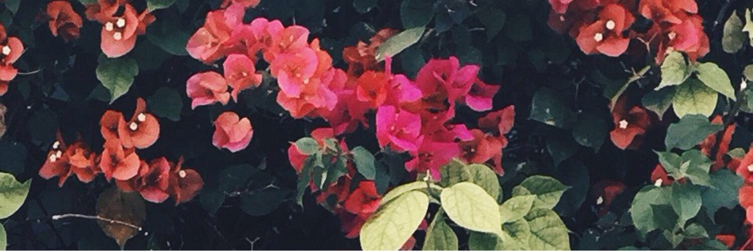 lostjodixo's profile banner image