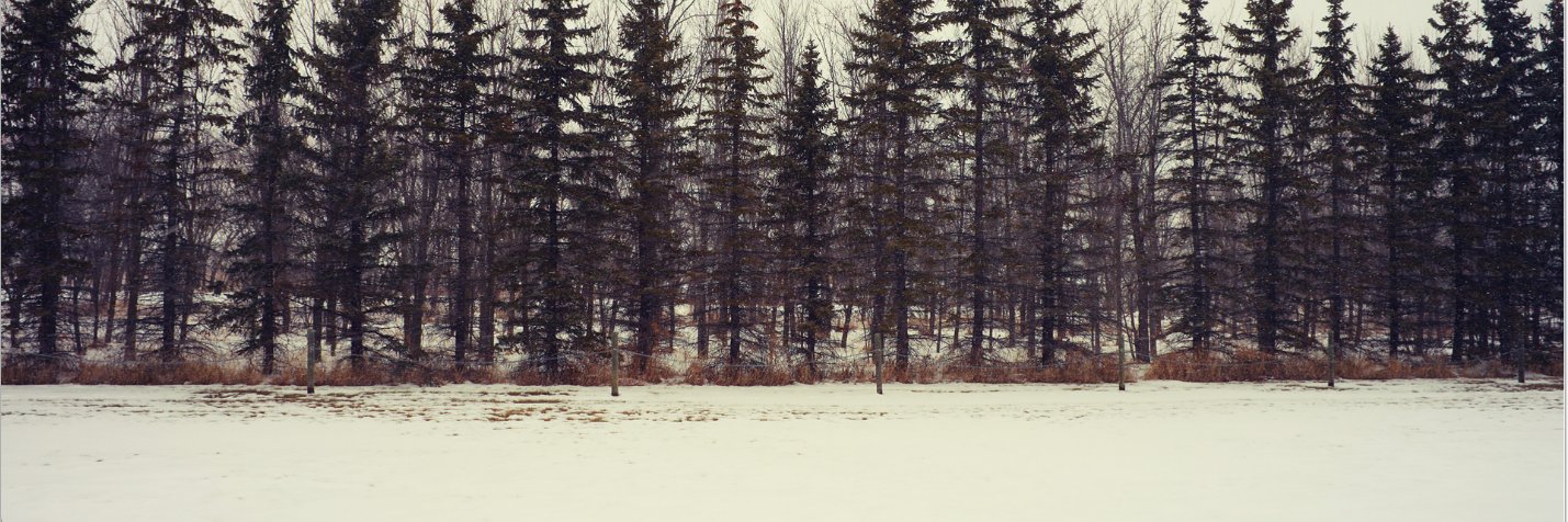 forelskxt_'s profile banner image