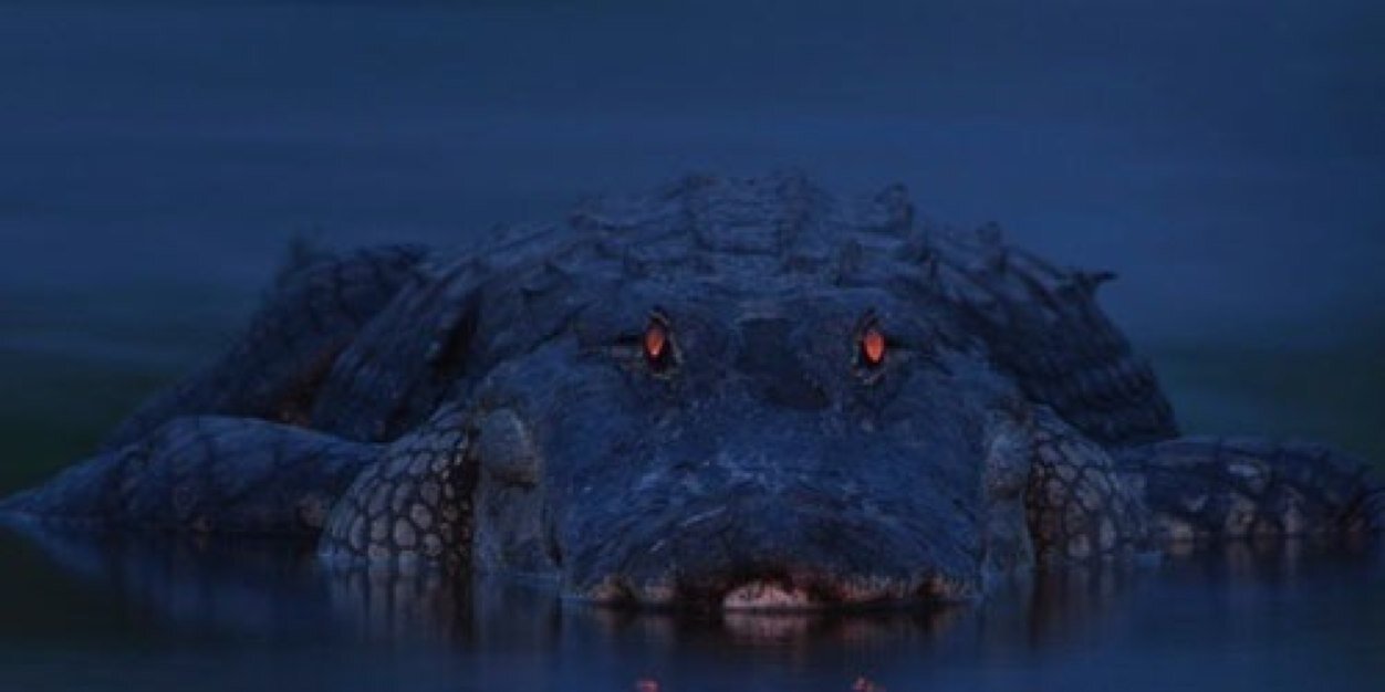 rontaylor82's profile banner image
