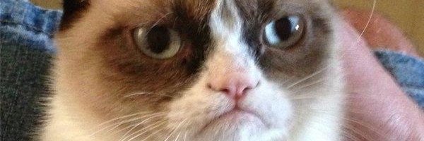 melintonronald's profile banner image