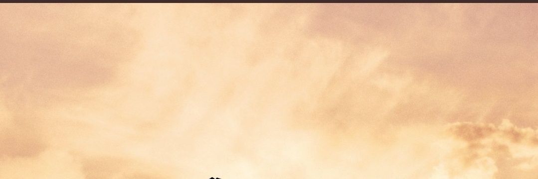 sbijnk's profile banner image