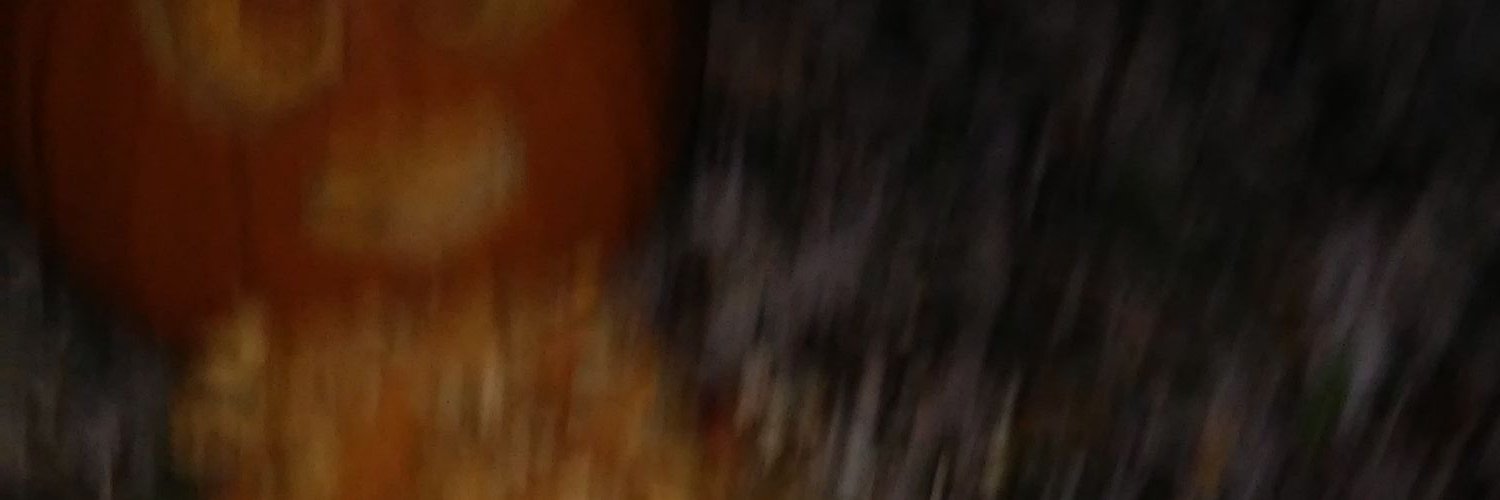 bpinno26's profile banner image