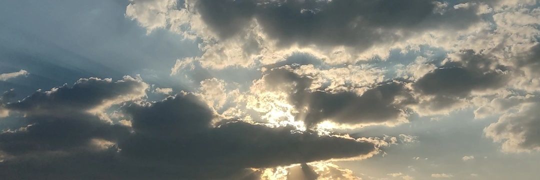 ferrrrrrrmg's profile banner image