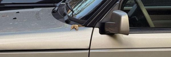 mrtncortis Profile Banner