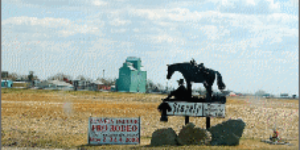 Stavely Pro Rodeo banner