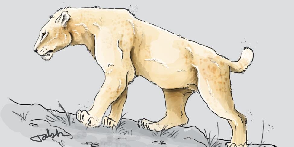 TwilightBeasts banner