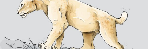 TwilightBeasts Profile Banner