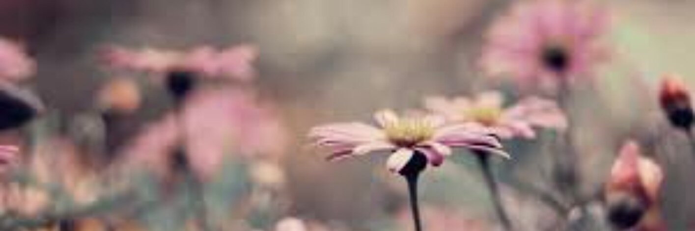 AleBarroso_Lo's profile banner image
