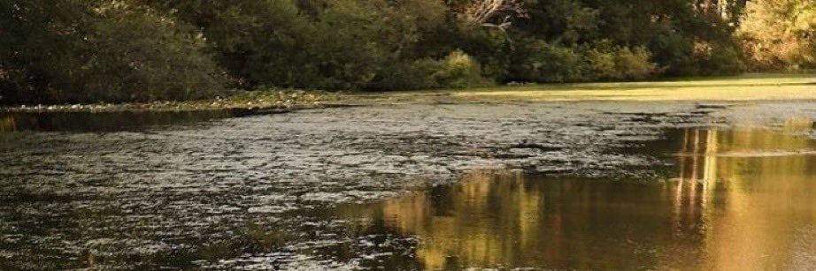 zv12l's profile banner image