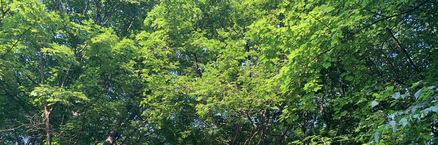 raybaybay__'s profile banner image