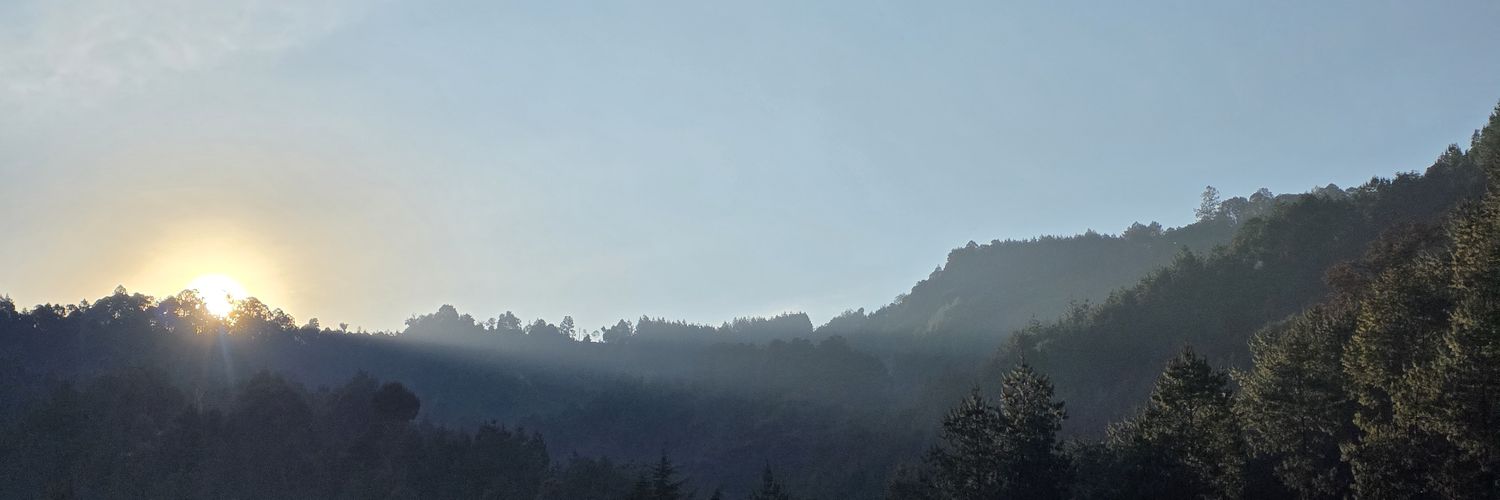 anabeluscas's profile banner image