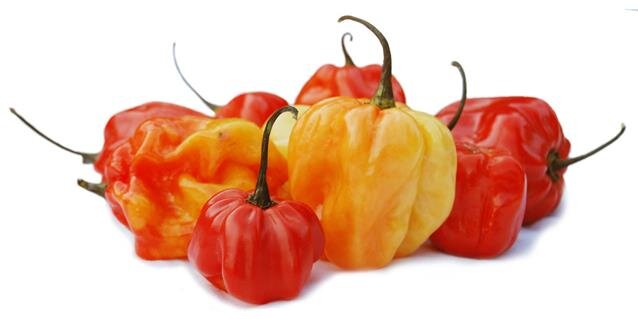 ChilliesForGood's profile banner image