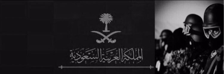 alibader_1's profile banner image