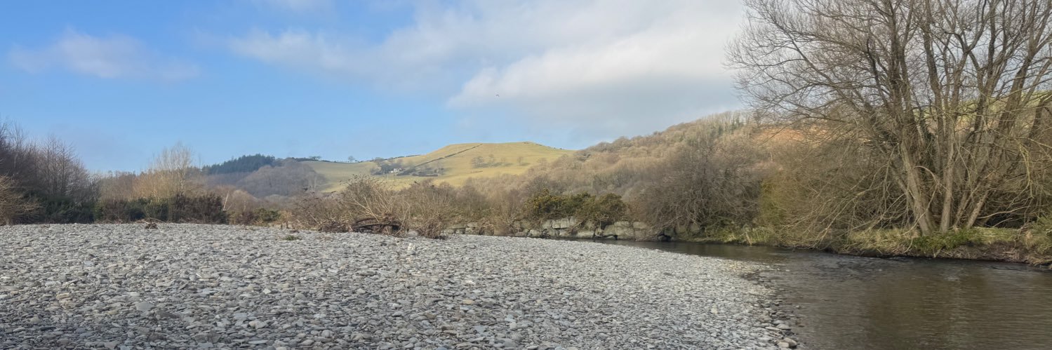 Tracy Cook-Scowen banner