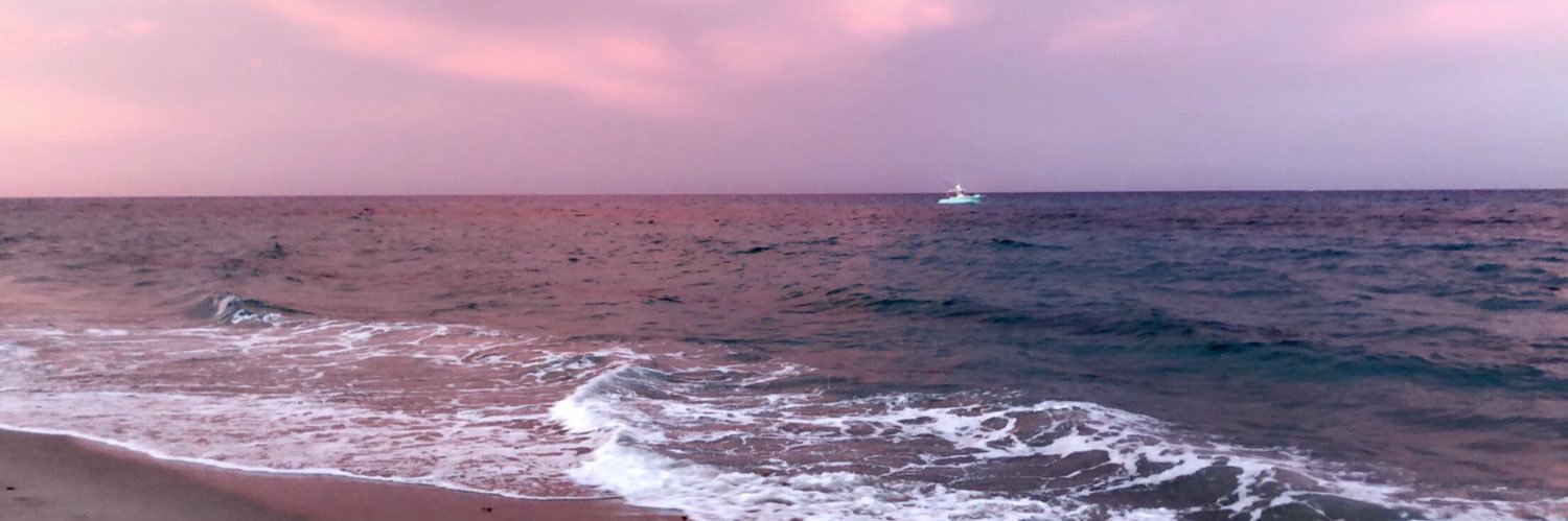 taylordamarin's profile banner image