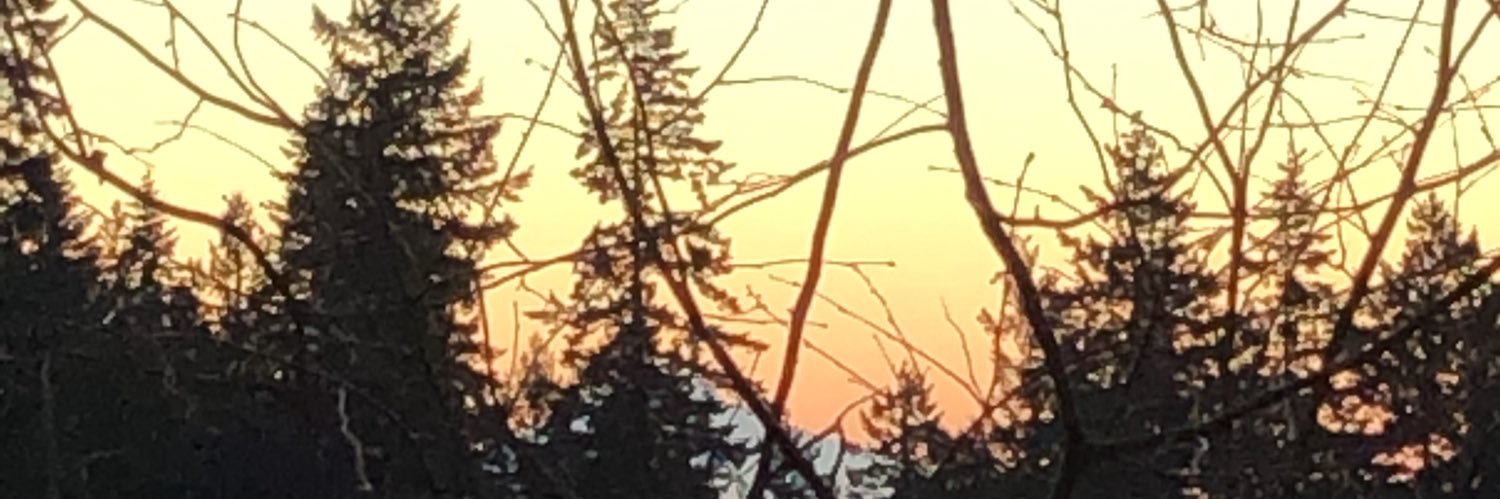 Tracy_Pax's profile banner image