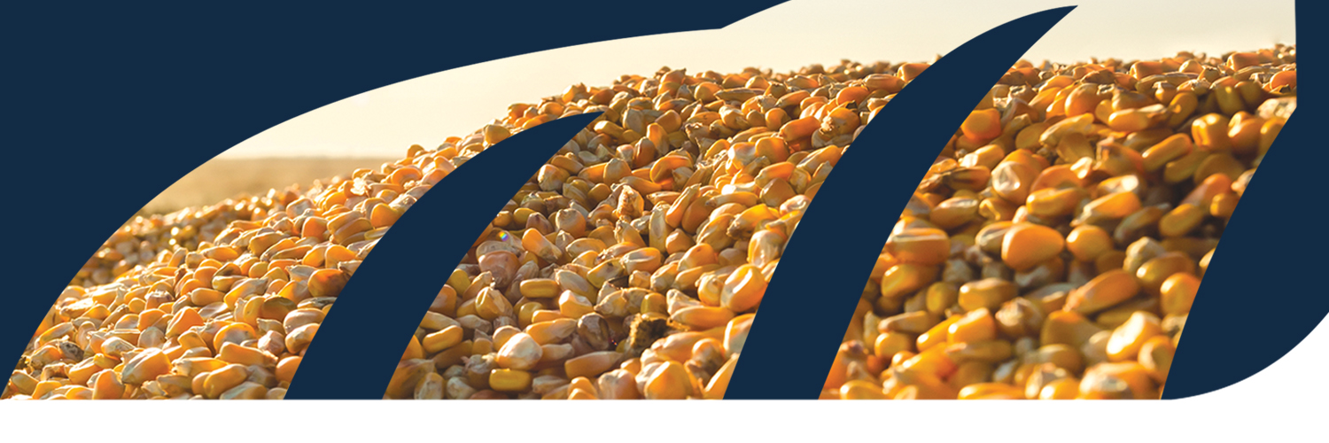 Maizex's profile banner image