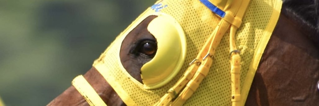 繁殖牝馬 banner