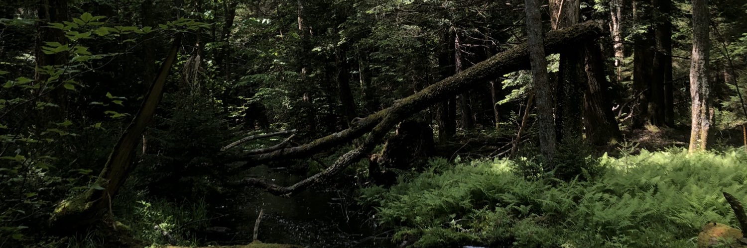 meredith_clayy's profile banner image