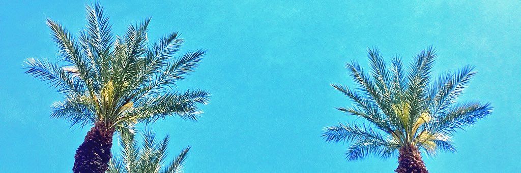 Ignitedwilk's profile banner image