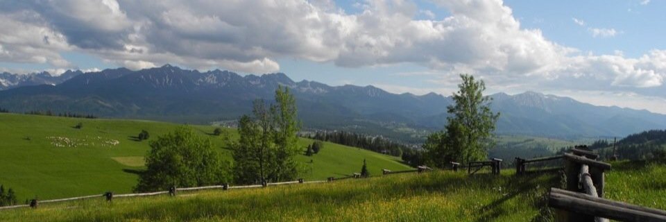MStefanski1's profile banner image