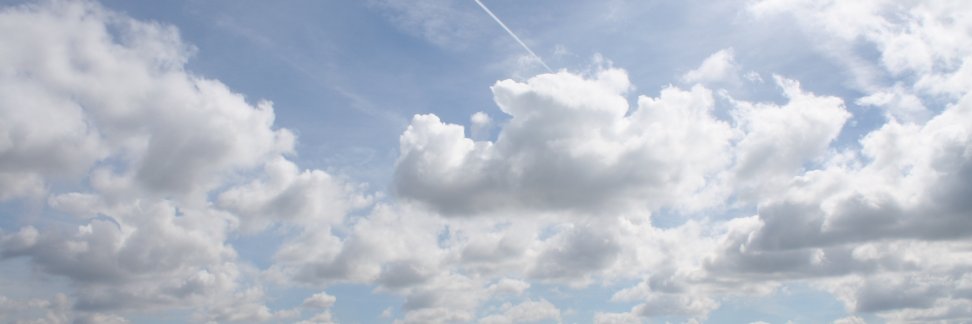 d0nim0 banner