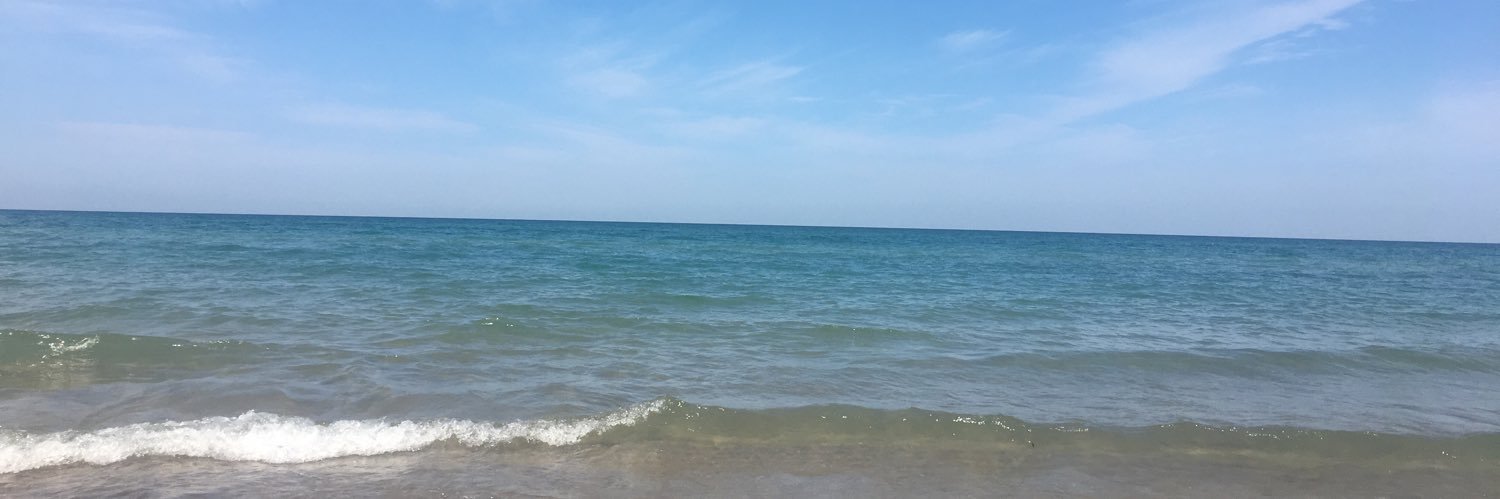 Dr. Chrissy Widmayer, PhD banner