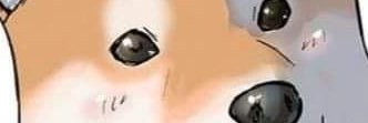 tigerrawr4's profile banner image