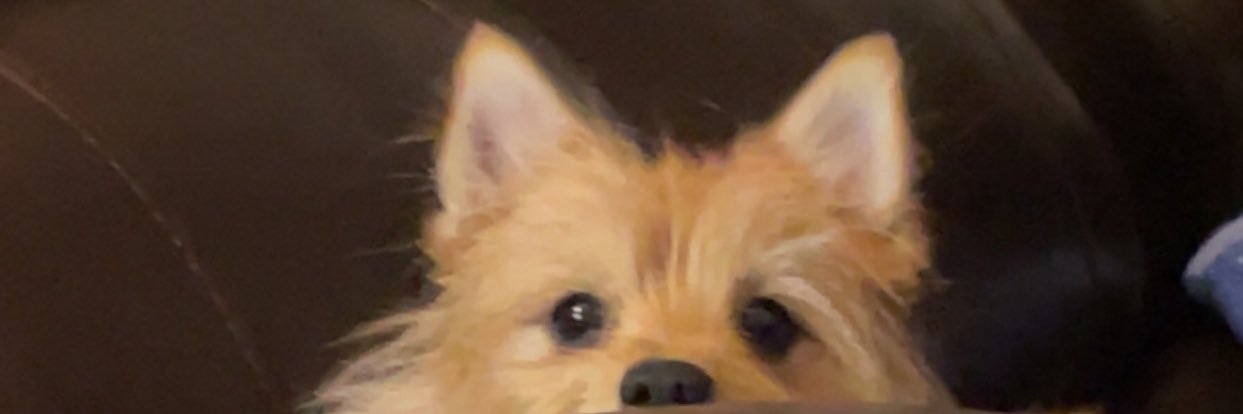 samiam1113's profile banner image