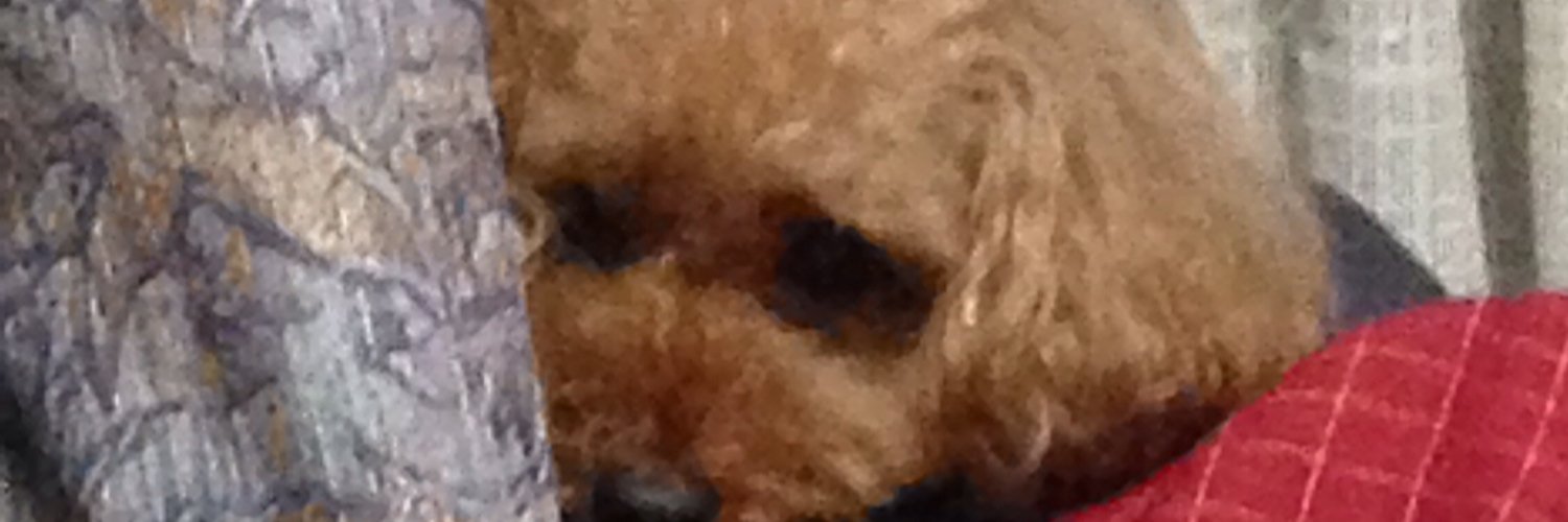 ge_e_nnnn's profile banner image