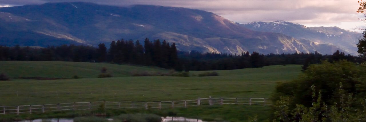 tinlizzy55's profile banner image