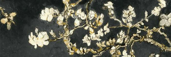 Tsanda12's profile banner image