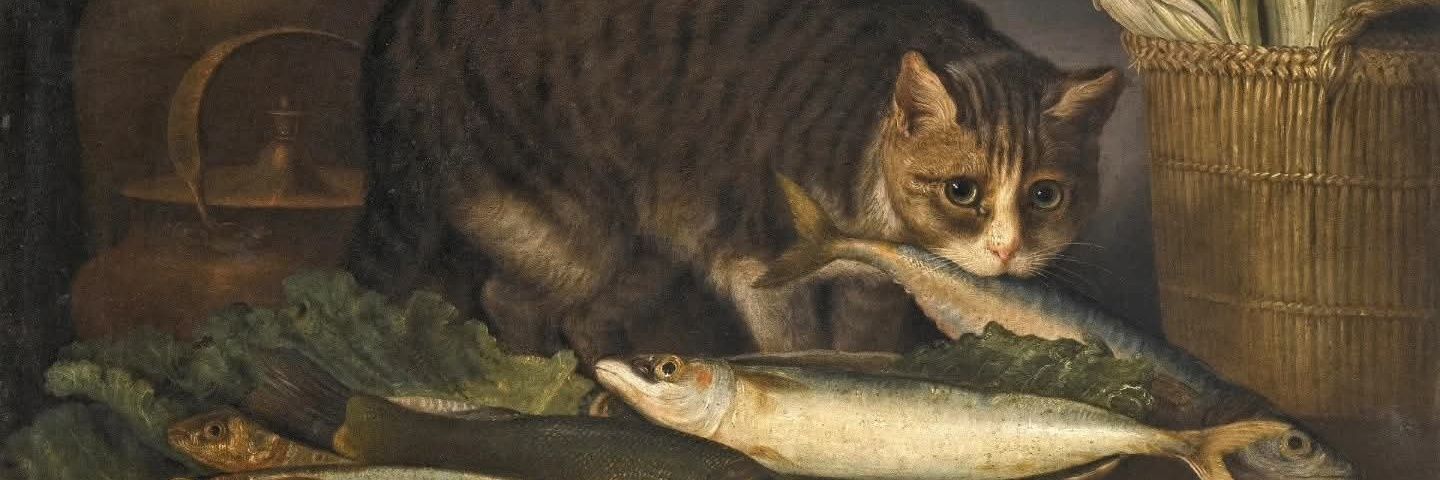 AmberTussle's profile banner image