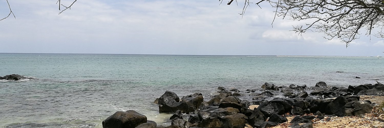 RayBanana's profile banner image