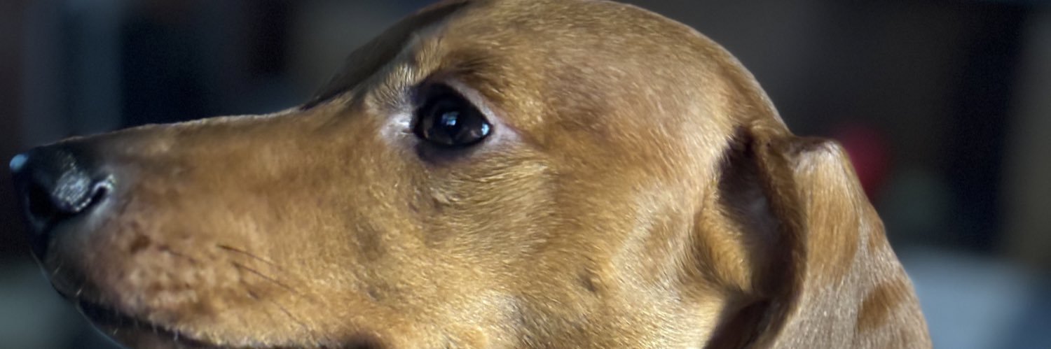 Chief Bill Avera, M.S. 💙🇺🇸🚓💙 banner