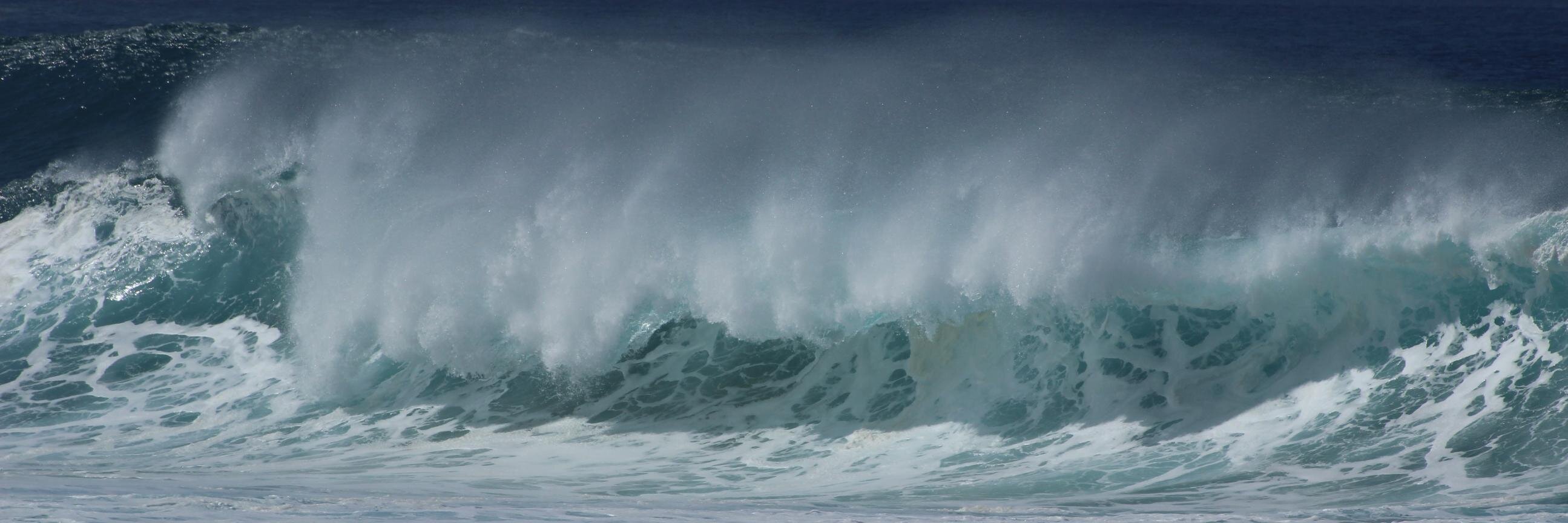 FinancialBootcamp🦬 banner