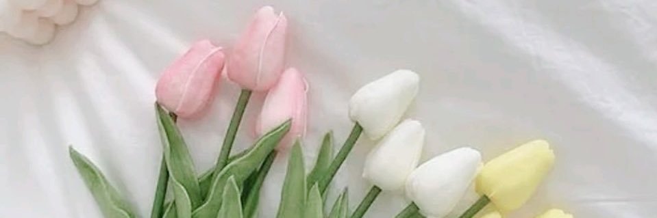 abe__sho129's profile banner image