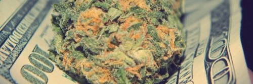 loudweeddaily's profile banner image