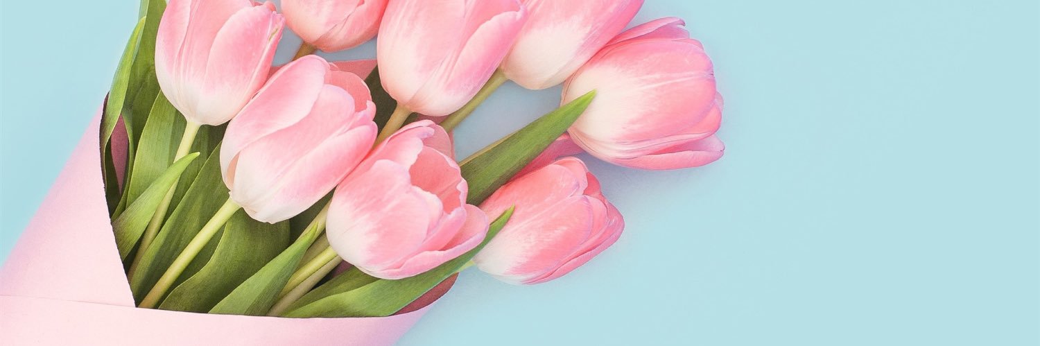 Catagu93's profile banner image