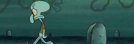 fellow dolphin enjoyer banner