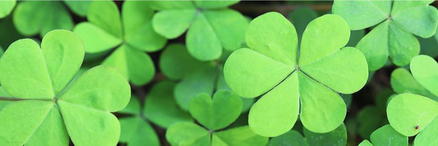 DublinWL's profile banner image