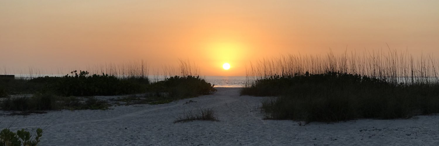 EBeachcomber's profile banner image